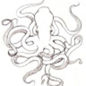 Meet your Posher, Shelby